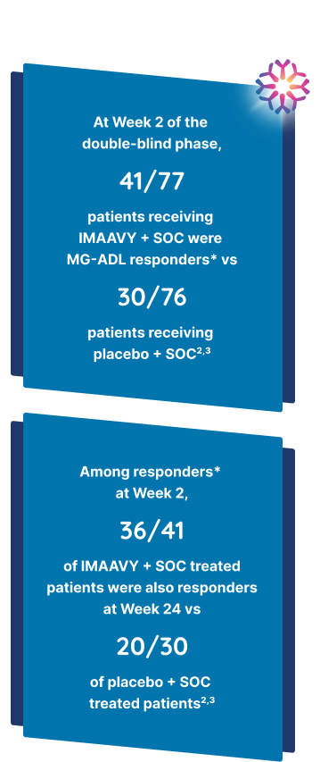 41/77 patients receiving IMAAVY + SOC were MG-ADL responders* vs 30/76 patients receiving placebo + SOC2,3