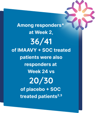 88% of patients taking IMAAVY + SOC who were Week 2 responders maintained response to Week 24